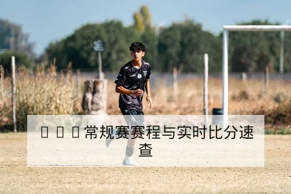 NBA常规赛赛程与实时比分速查