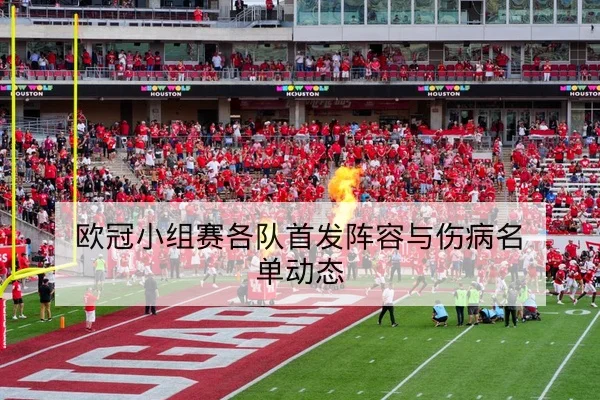 竞彩让球与总进球术语解释与风险提示