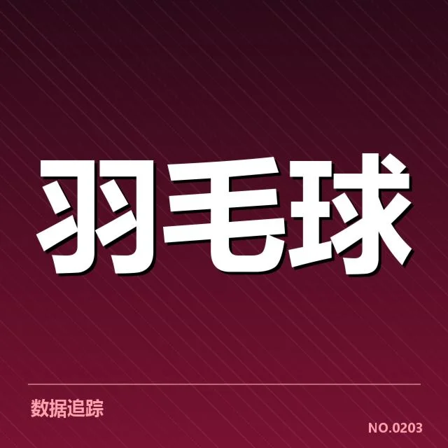林丹羽毛球巡回赛:赛事组织及未来走向疑问